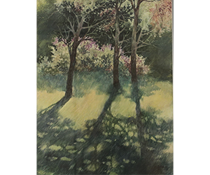 Alexis Lavine – Early Shadows
