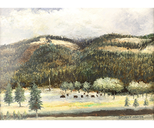 Bryant White – Buffalo in Lamar
