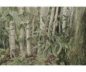 Michael Strueber – Western PA Series, 2018
