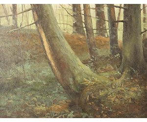 Sean M. Witucki - Camp Interior