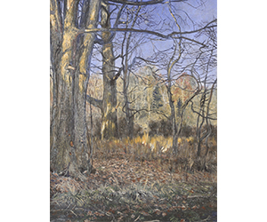 James C. Groves - Upper Georges Creek