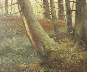 Sean M. Witucki - Camp Interior