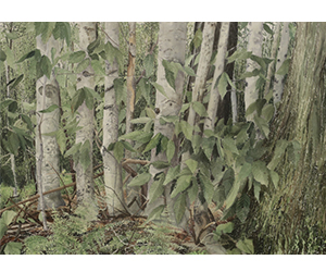 Michael Strueber (1945 - ) Western PA series, 2018