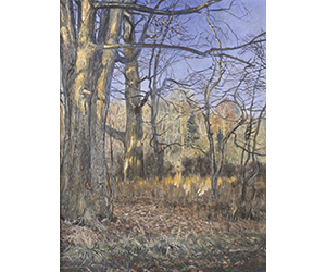 James C. Groves (American) Upper Georges Creek