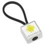 C8300id_globus_keyring_square_1_index