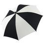 2100_colour_image_file_black_white__index