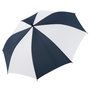 2100_colour_image_file_navy_white__index