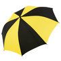 2100_colour_image_file_black_yellow__index
