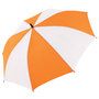 2100_colour_image_file_orange_white__index