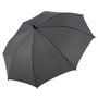2100_colour_image_file_grey__index