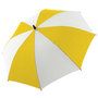 2100_colour_image_file_yellow_white__index