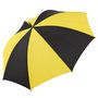 2110_colour_image_file_black_yellow__index