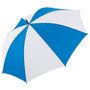 2110_colour_image_file_royal_white__index