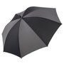 2110_colour_image_file_black_grey__index