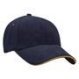 4289_colour_image_file_navy_gold__index