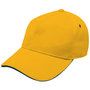 4289_colour_image_file_gold_navy__index
