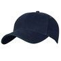 4289_colour_image_file_navy_bottle__index