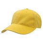 8000_colour_image_file_mustard__index
