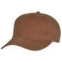 8000_colour_image_file_chestnut__index