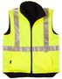 Sw19a_yellow