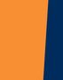 Sw204_orange