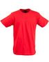 Ts20_red_m_index