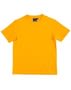 Ts37_gold_m_index