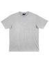 Ts37_grey_m_index