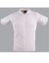 Ts89_white_m_index