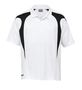 Dgsp-white_black_index