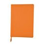 Ll8539_orange_index