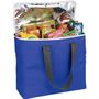 Arctic Zone 30-Can Foldable Freezer Totes