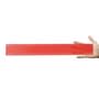 Transparent Red Transparent 30cm Premium Plastic Ruler