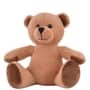 Brown Customisable Honey Plush Teddy Bear