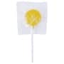 Yellow Corporate Colour Lollipops