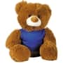 Brown/Blue  Cocoa Plush Teddy Bear