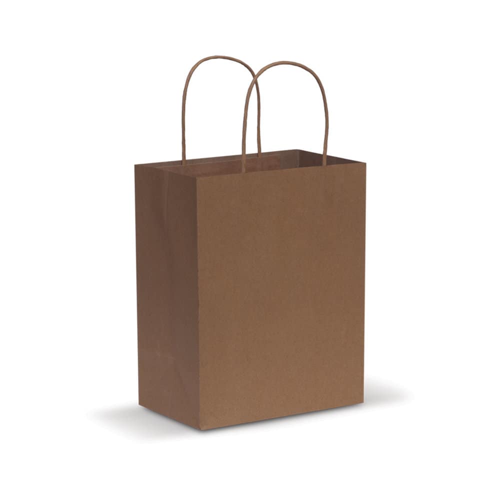 Natural Paper Carry Bag - Medium