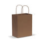 Natural Paper Carry Bag - Medium