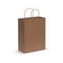 Natural Paper Carry Bag - Large