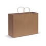 Natural Paper Carry Bag - Extra Large