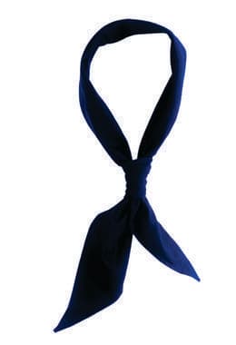 Navy Neckerchief Colours