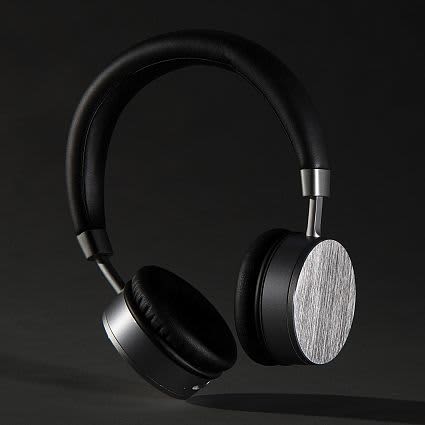 Swiss Peak Headphones