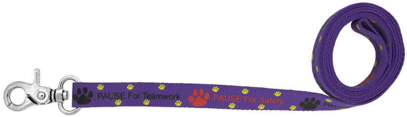 Purple Pms 266 Custom Dog Leash 10mm