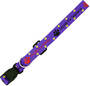 Purple Pms 266 10mm Dog Collar