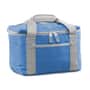 Royal Chill Out 6 Pack Cooler Bag