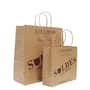 Twisted Handle Kraft Paper Bag