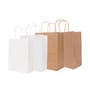 Twisted Handle Kraft Paper Bag