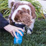 Pet Water Bottle