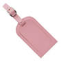 Coloured Luggage Tag