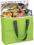 Arctic Zone 30-Can Foldable Freezer Totes